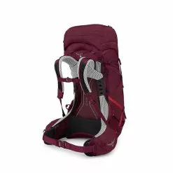 Osprey Aura AG LT 50 -Deals Hike Store auraaglt50 s23 sideback antidotepurple