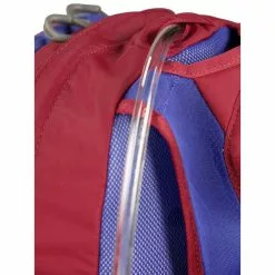 Osprey Daylite Kids 17 Osprey Daylite Kids -Deals Hike Store dayltkidss20 s20 detail4 cosmicred