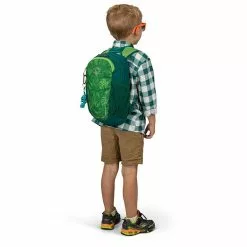 Osprey Daylite Kids 20 Osprey Daylite Kids -Deals Hike Store dayltkidss20 s20 detail5 leafygreen