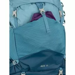 Osprey Ace 38 -Deals Hike Store osprey osprey ace 38 blue hills other gear osp0841 bluhil 18708244168853